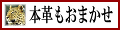 本革はこちら