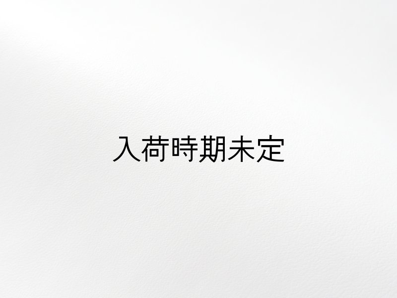 画像1: 合皮レザー生地【薄手 白 ツヤなし】 (1)