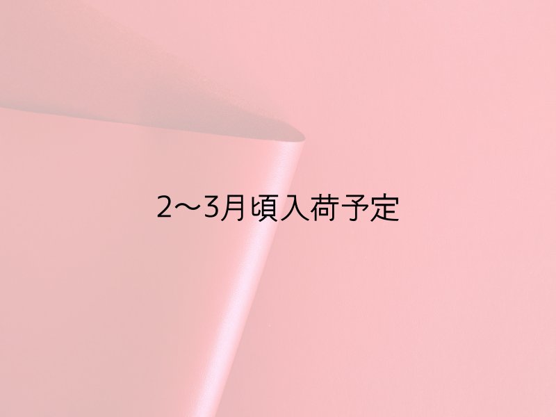 画像3: 貼るレザー（シールタイプ） 合皮生地【薄手 赤 ツヤなし】 (3)