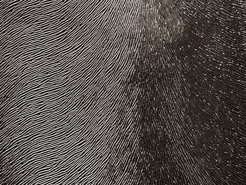 画像3: 合皮レザー生地 エンボス【ミンク 毛皮調 ダーク】 (3)